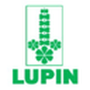 Lupin